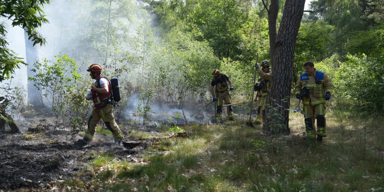 Foto: Natuurbrand op militair oefenterrein Weerterheide bij Budel
