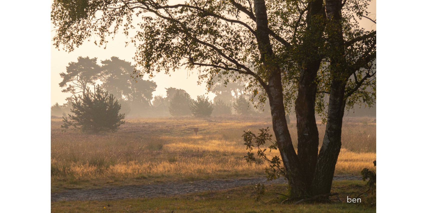 Foto: 19 juni: Avondfietstocht over de Strabrechtse Heide