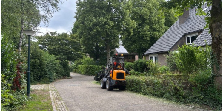 Foto: Snoeiwerkzaamheden in Heeze-Leende