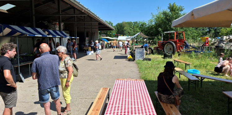Foto: 20 juni: Open dag bij Herenboeren De Groote Heide