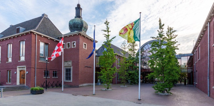 Foto: Race tegen vol stroomnet: drie partijen in Heeze-Leende willen extra zekerheden bij snelle bouwvergunningen
