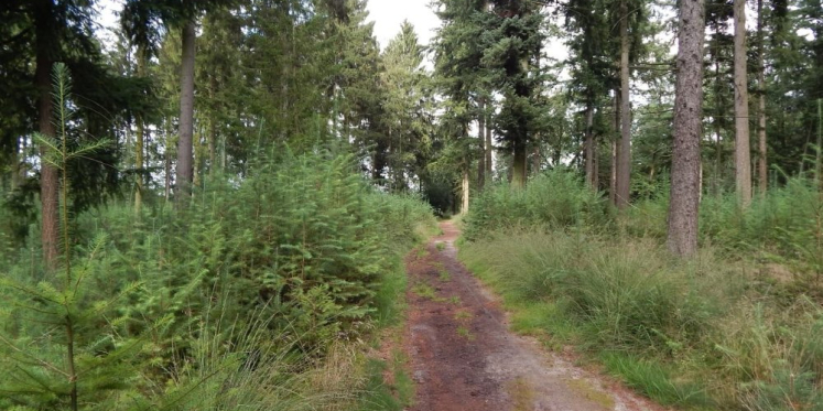 Foto: Samen Sterk in Brabant en gemeente Eersel treden op tegen wildcrossen