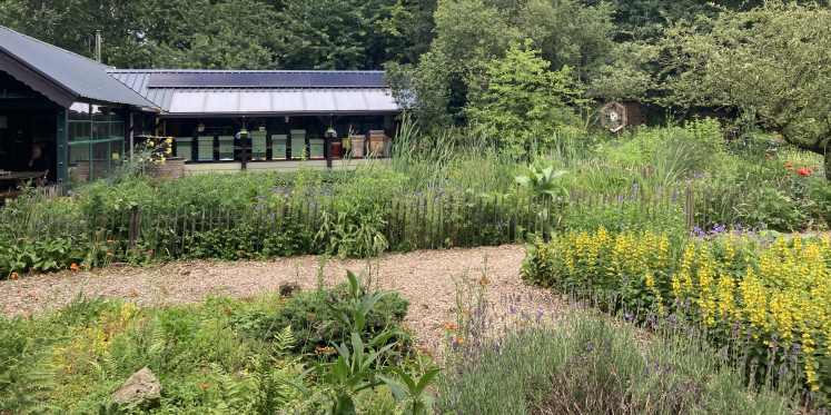 Foto: Bijen- en insectenparadijs De Immenhof in Budel bestaat 40 jaar