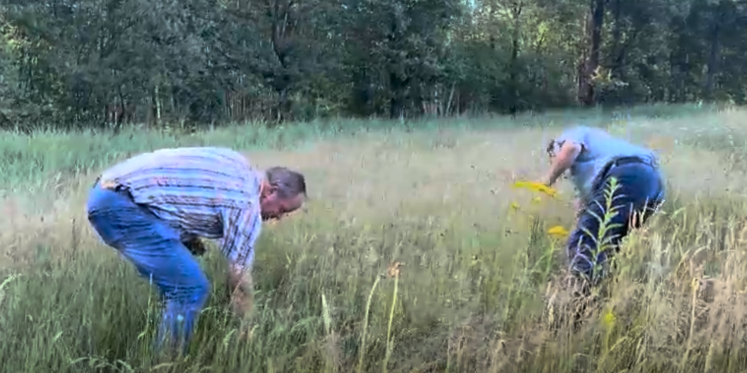 Foto: Jaarlijkse viering Sint Janstrossen in Leenderstrijp gaat door ondanks hete weer