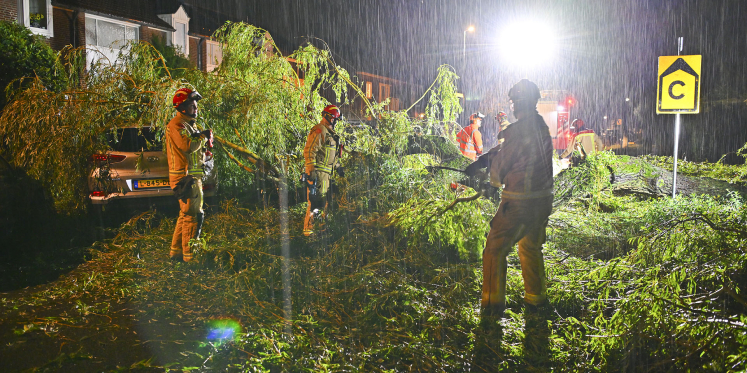 Foto: Zwaar noodweer trekt over de Kempen: omgevallen bomen, schade aan auto's en monumentale molen