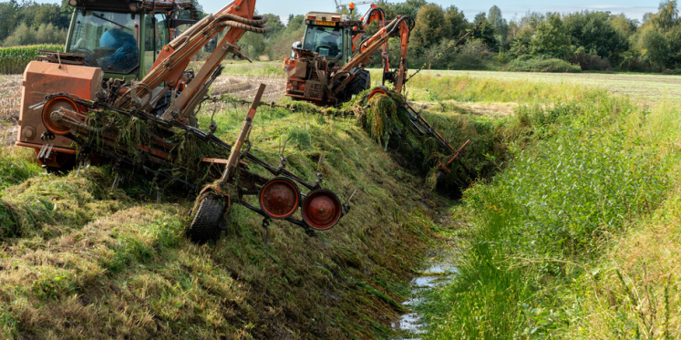 Foto: Waterschap De Dommel zoekt naar oplossingen voor nieuwe maairegels