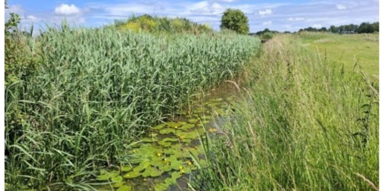 Foto: Waterschap De Dommel start met aanpak gebied rond Sterkselsche Aa