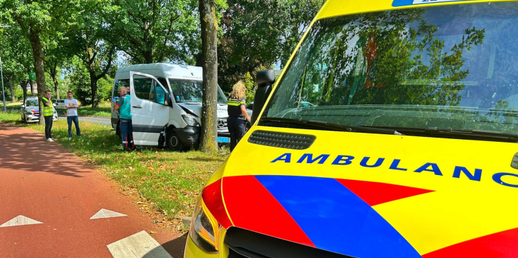 Foto: Taxibus rijdt tegen paal en boom in Veldhoven