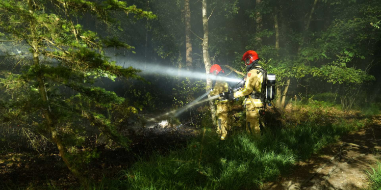 Foto: Bosbrand in Maarheeze