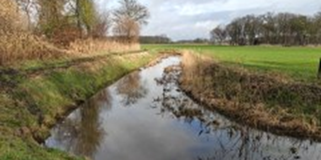 Foto: Waterschap De Dommel organiseert bijeenkomst over 2 natuurprojecten