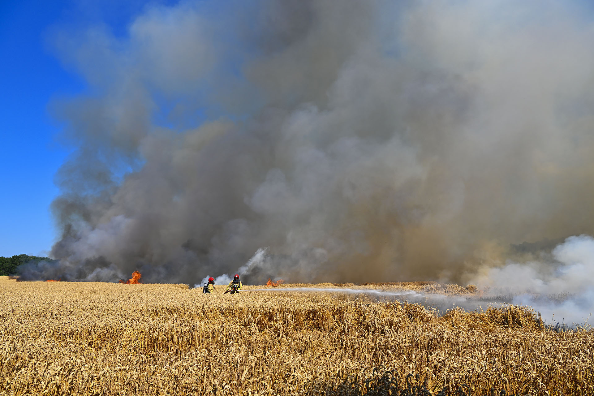 Foto: Graanveld gaat verloren bij grote brand tijdens maaiwerkzaamheden