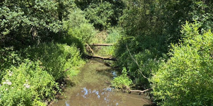 Foto: Waterschap De Dommel ziet waterpeilen in korte tijd flink zakken