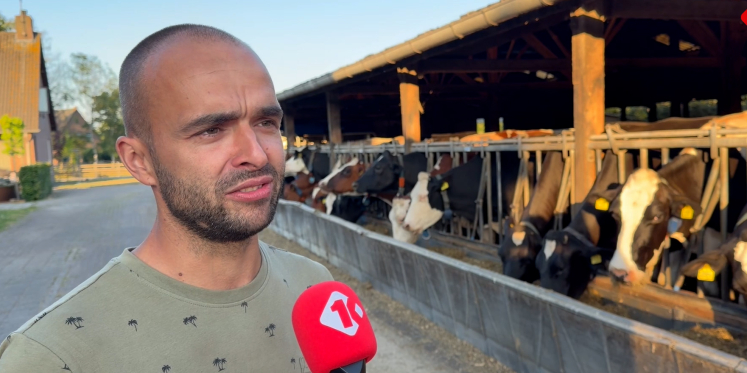 Foto: Boer Hans uit Borkel vreest voor einde bedrijf door nieuw stikstofpakket
