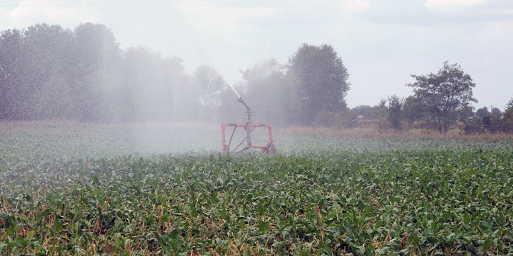 Foto: Waterschap stelt zestien overtredingen vast bij controles op watergebruik