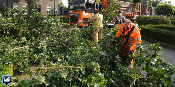 Foto: Brandweer verwijdert gevaarlijke takken uit boom in Maarheeze