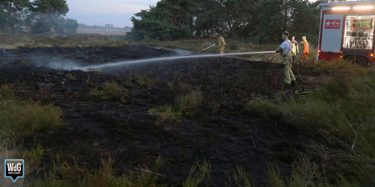 Foto: Natuurbrand op Boshoverheide snel onder controle