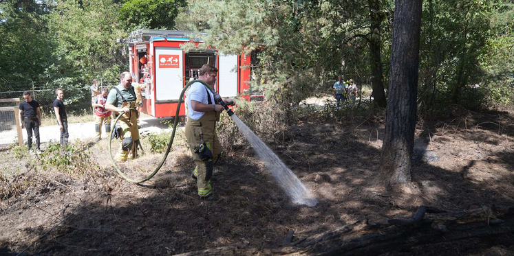 Foto: Opnieuw brandweerinzet Maarheeze op locatie van eerdere bosbrand Weerterbos