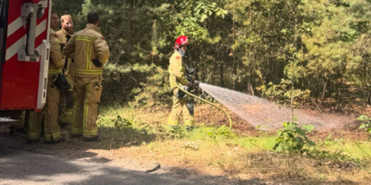 Foto: Bosbrand bij Belgische grens geblust dankzij alerte omstanders