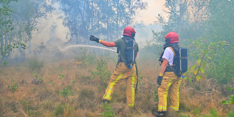 Foto: Zeer grote bosbrand aan Berkheuvels in Valkenswaard bij Bergeijk