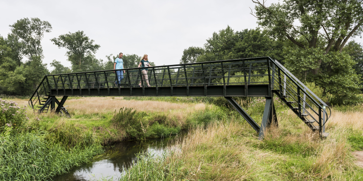 Foto: Herstelwerkzaamheden Loondermolenpad nodig door schade wisselende waterstanden en actieve bever