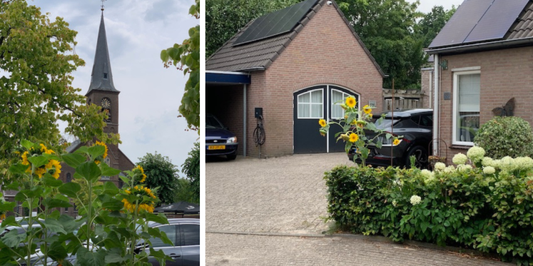 Foto: Zonnebloemactie brengt kleur en verbinding in Borkel en Schaft