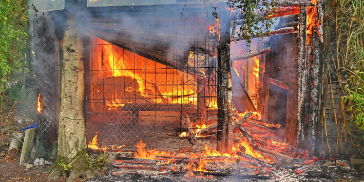 Foto: Brand in schuur in bos in Casteren