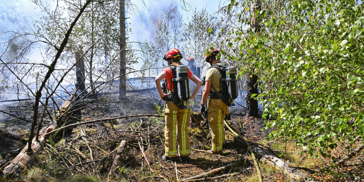 Foto: Bosbrand aan Bergeijksedijk in Valkenswaard snel geblust