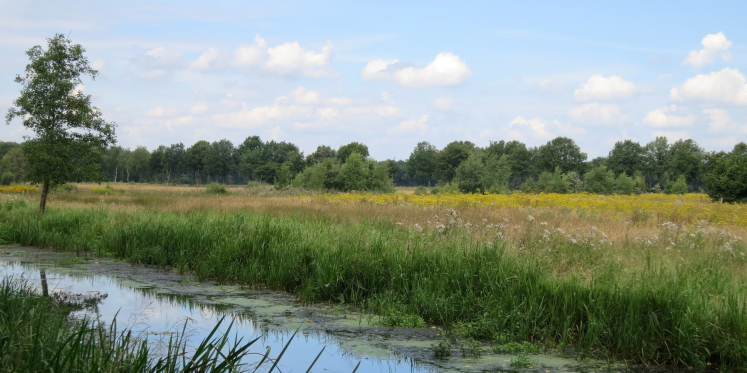 Foto: Omgang tussen mensen en dier? Onderzoekers van WildlifeNL trekken het KempenBroek in
