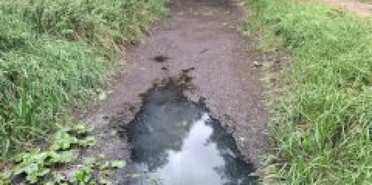 Foto: Waterschap de Dommel pompt overlevingswater in droge beken
