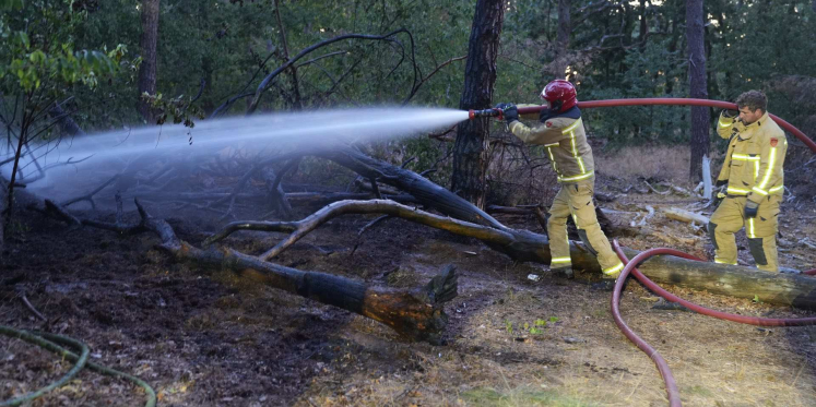 Foto: Brandweer rukt vroeg uit voor natuurbrand in Budel