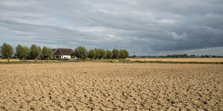 Foto: Eindelijk verkoeling, maar droogteprobleem blijft voorlopig in de Kempen