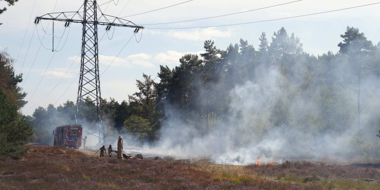 Foto: Natuurbrand bij Kamersven in Maarheeze