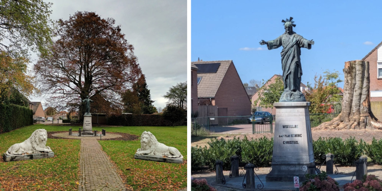 Foto: Bijna 200 jaar oude beuk in Wintelre geveld door klimaatverandering