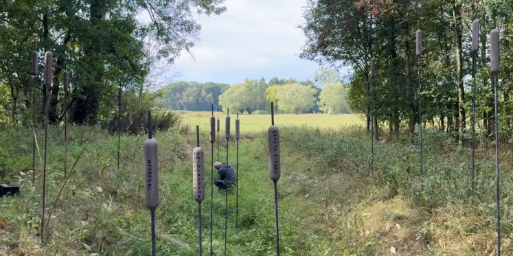 Foto: Natuur, kunst en beleving komen samen bij LandArt Duizel