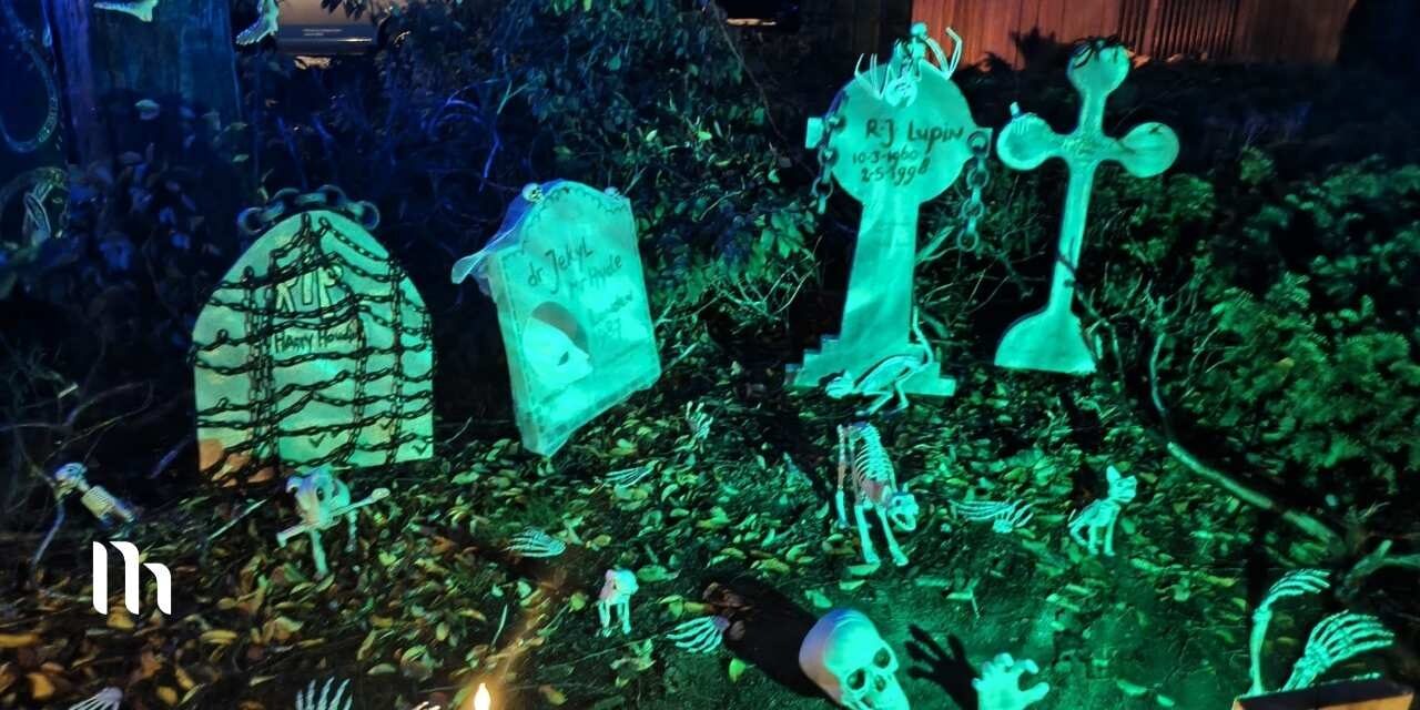 Foto: Griezelen geblazen: Halloweentocht keert terug in de Nieuwe Hoeven
