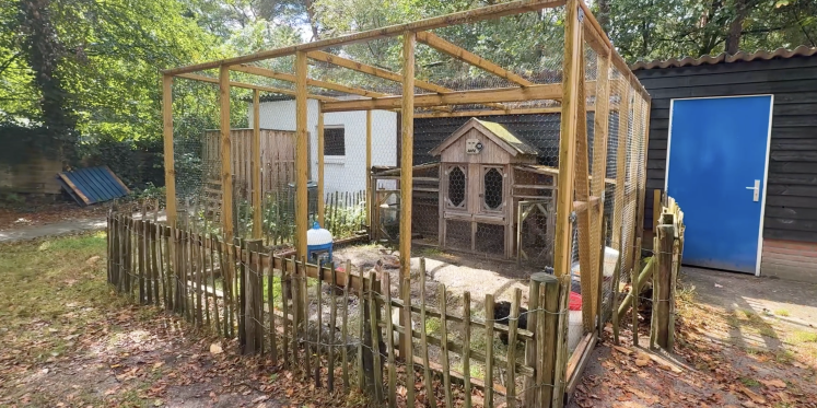 Foto: Aantal leerlingen Fonkeltuin in drie jaar tijd bijna verdubbeld, mede dankzij onderwijs in de buitenlucht en tokkende kippen