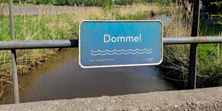 Foto: Regen brengt verlichting, maar de droogte in het Dommelgebied is nog niet voorbij