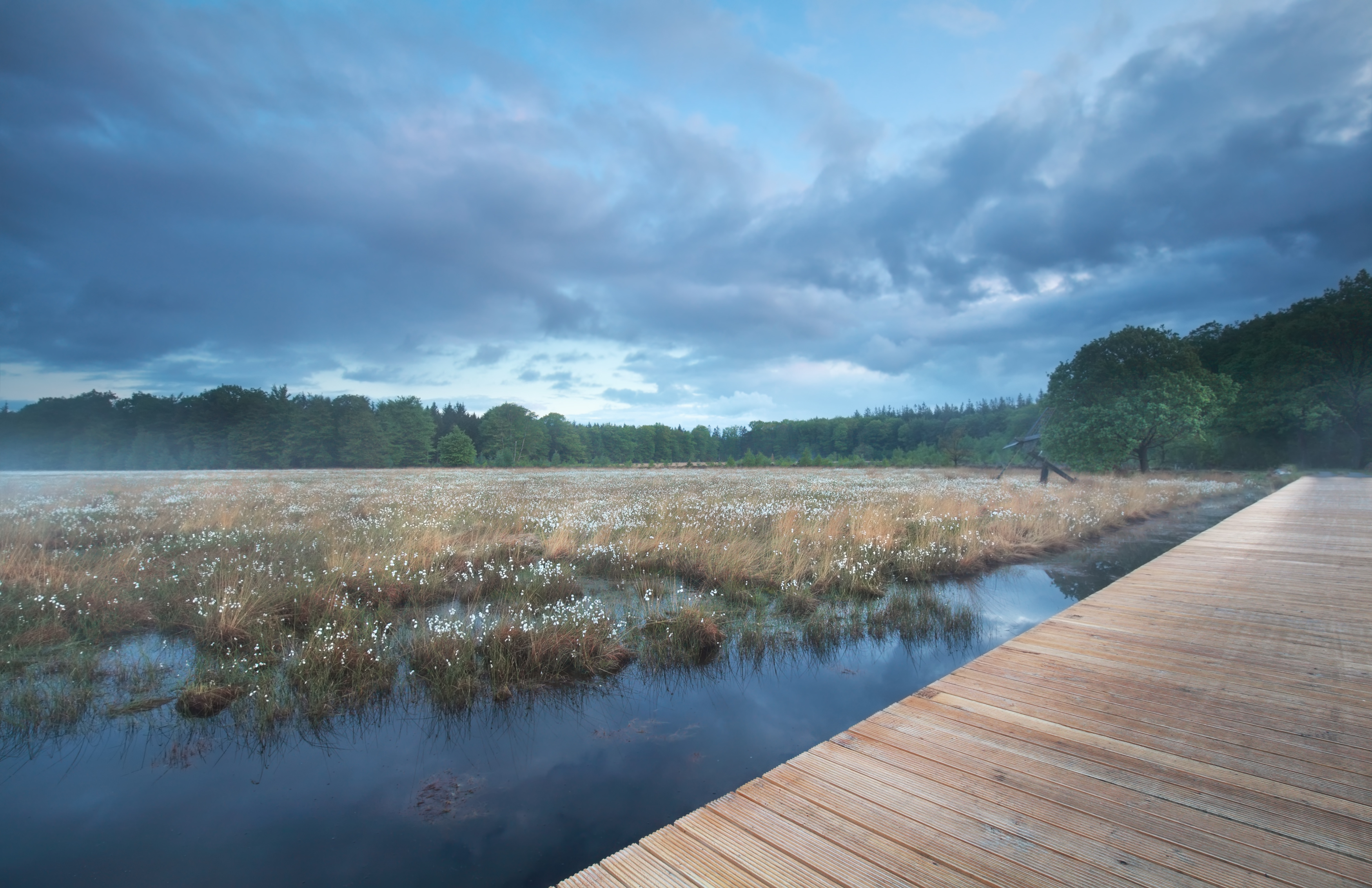 Foto: Straks met natte voeten door de natuur? In Heeze-Leende wil men dat voorkomen
