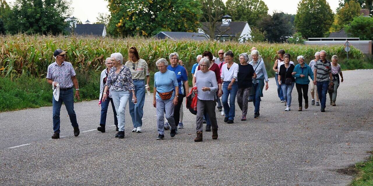 Foto: Wandelgroep uit Leende organiseert wandeling tijdens Week tegen Eenzaamheid