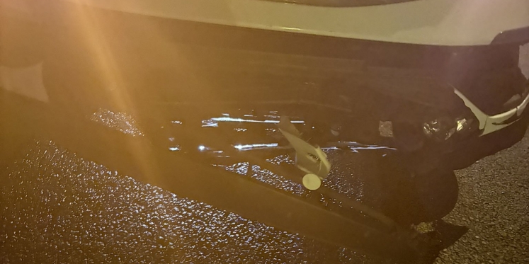 Foto: Hond overleden na aanrijding op A58