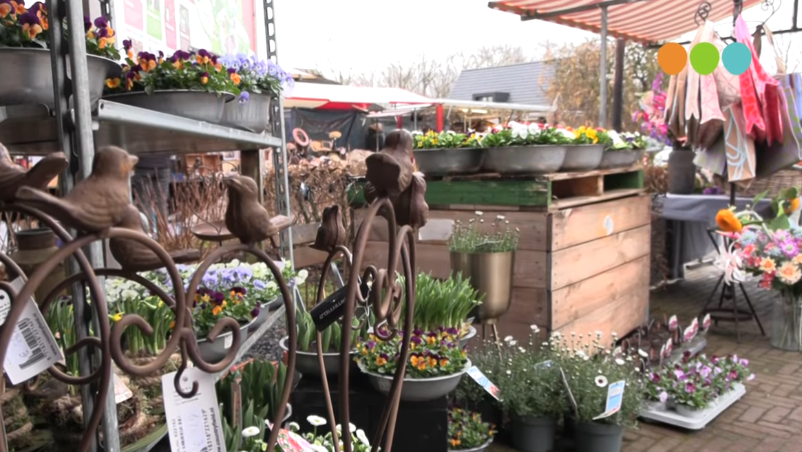 Foto: VIDEO: Eerste Voorjaarsfestival bij Fruittuin Verbeek