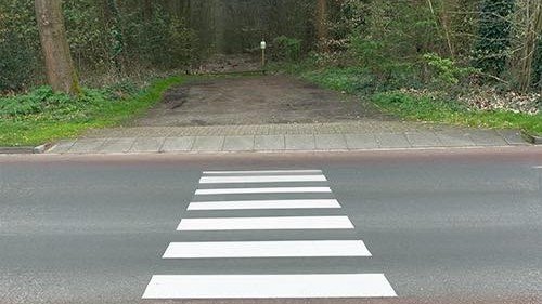 Actiegroep stunt met nep-zebrapad in Ermelo: 'Een droom die uitgekomen is'
