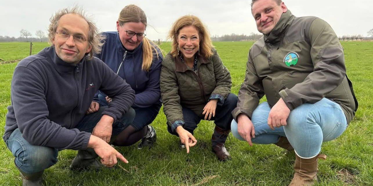 Eerste kievitsei van Nunspeet gevonden en geschouwd