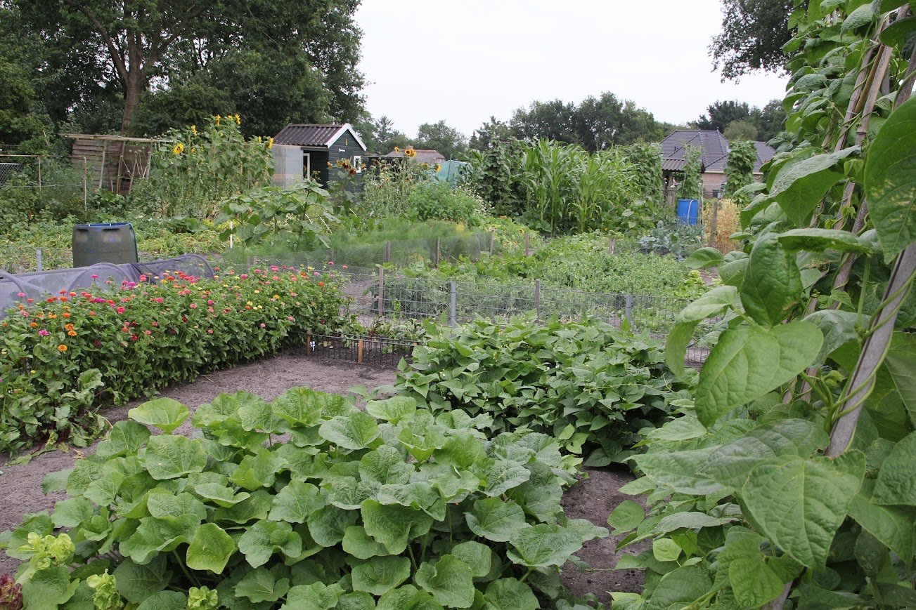 Foto: Lente in aantocht: maak je tuin klimaatbestendig met subsidie van de gemeente Elburg