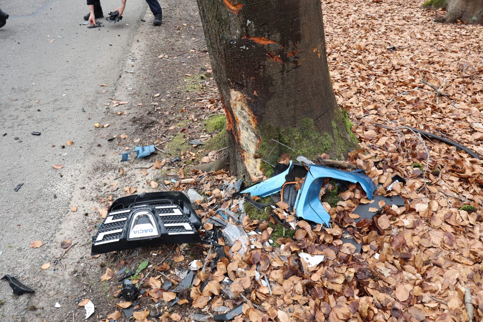 Foto: Bestuurder botst tegen boom, auto zwaar beschadigd