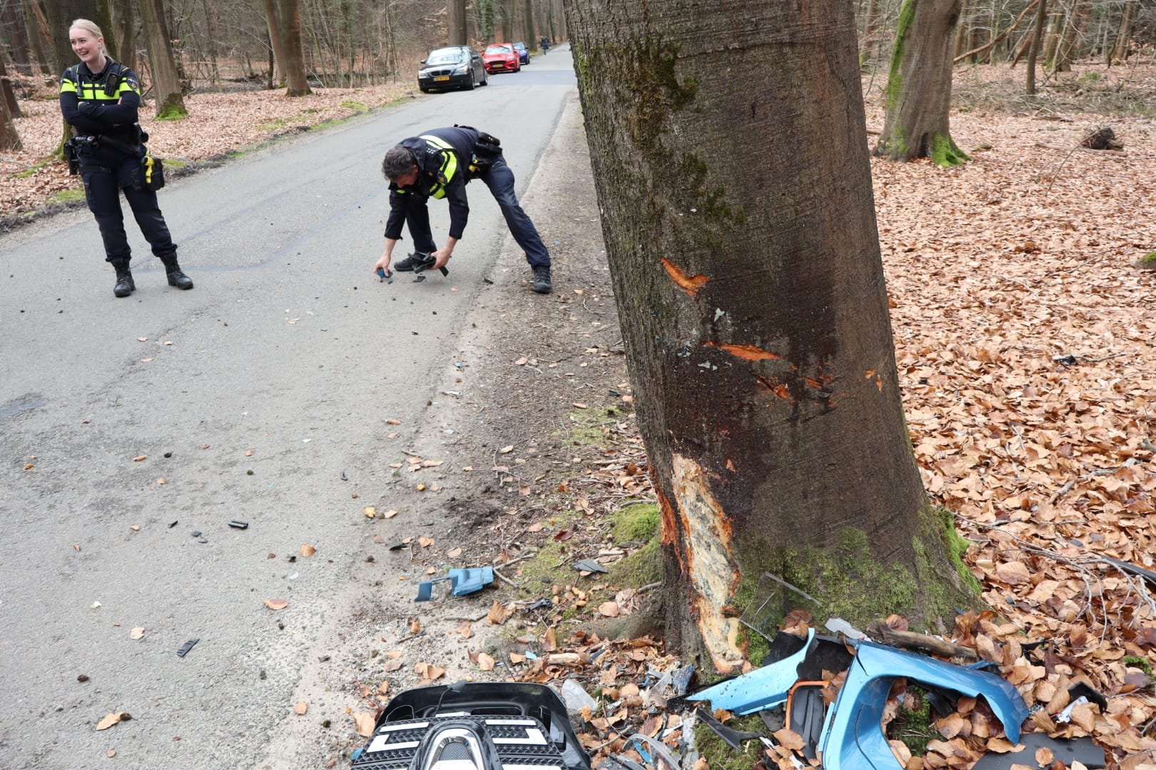 Foto: Bestuurder botst tegen boom, auto zwaar beschadigd