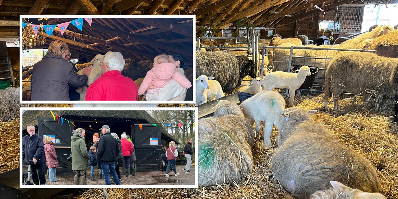 Foto: Knuffelen, knutselen en genieten op Lammetjesdag in Elspeet