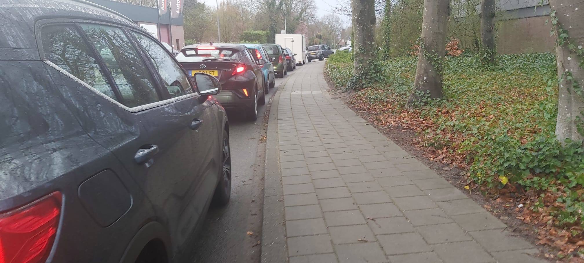 Foto: In de file voor gratis compost: ‘Het gaat erg hard’