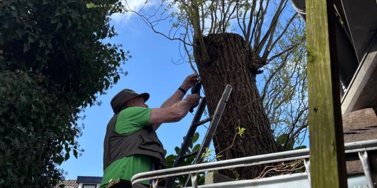 Foto: Gratis paastakken en versiering: hoe 'Boswachter Bennie' Voorthuizen in de paasstemming krijgt
