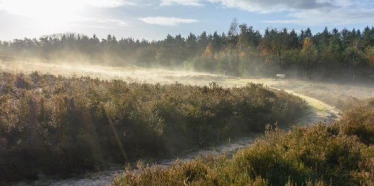 Foto: Ochtendwandeling over landgoed Petrea in Hattem